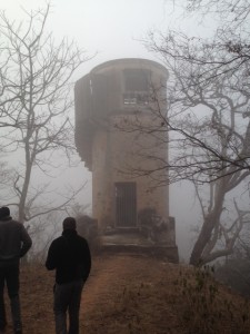 Tower in the Mist